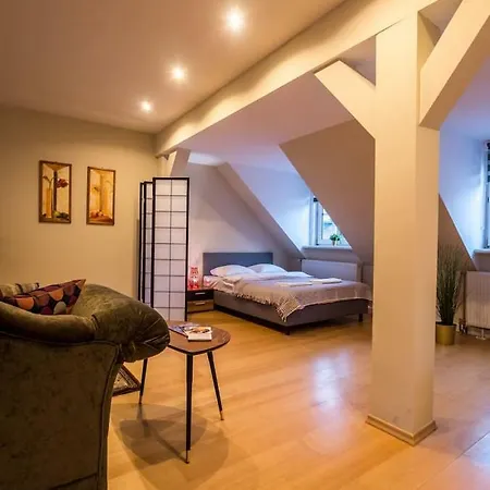 Old Town Family Penthouse 华沙